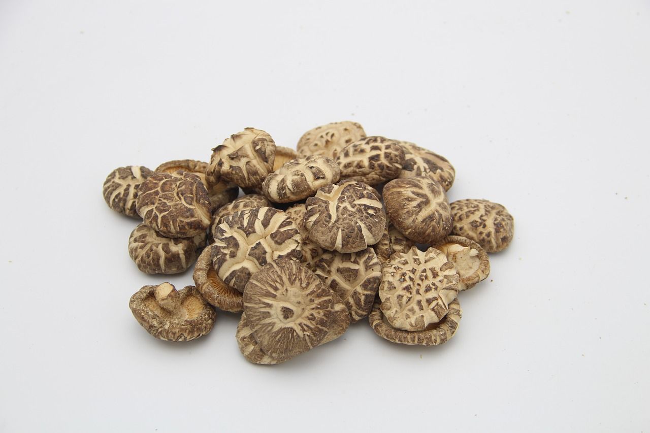 Regenera el sistema inmunitario con Shiitake