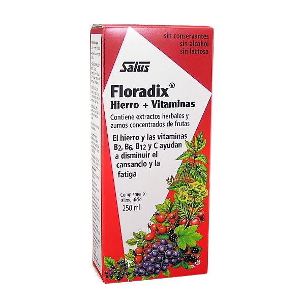 Imagen Floradix Jarabe de Hierro 250 ml. Salus. Floradix jarabe de hierro 250ml