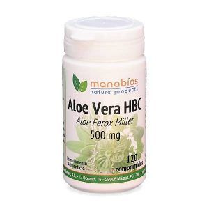 Aloe manabíos